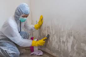 Best Mold Prevention Services  in Monticello, UT